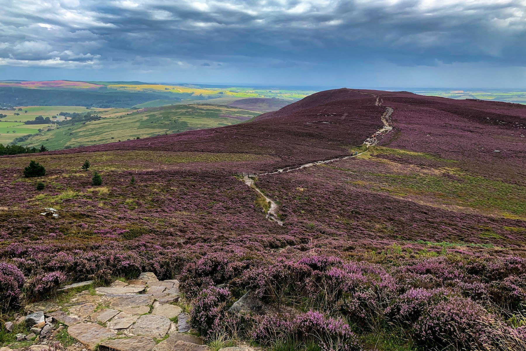 Northumberland countryside near Morpeth, close to Refined Medical Aesthetics.