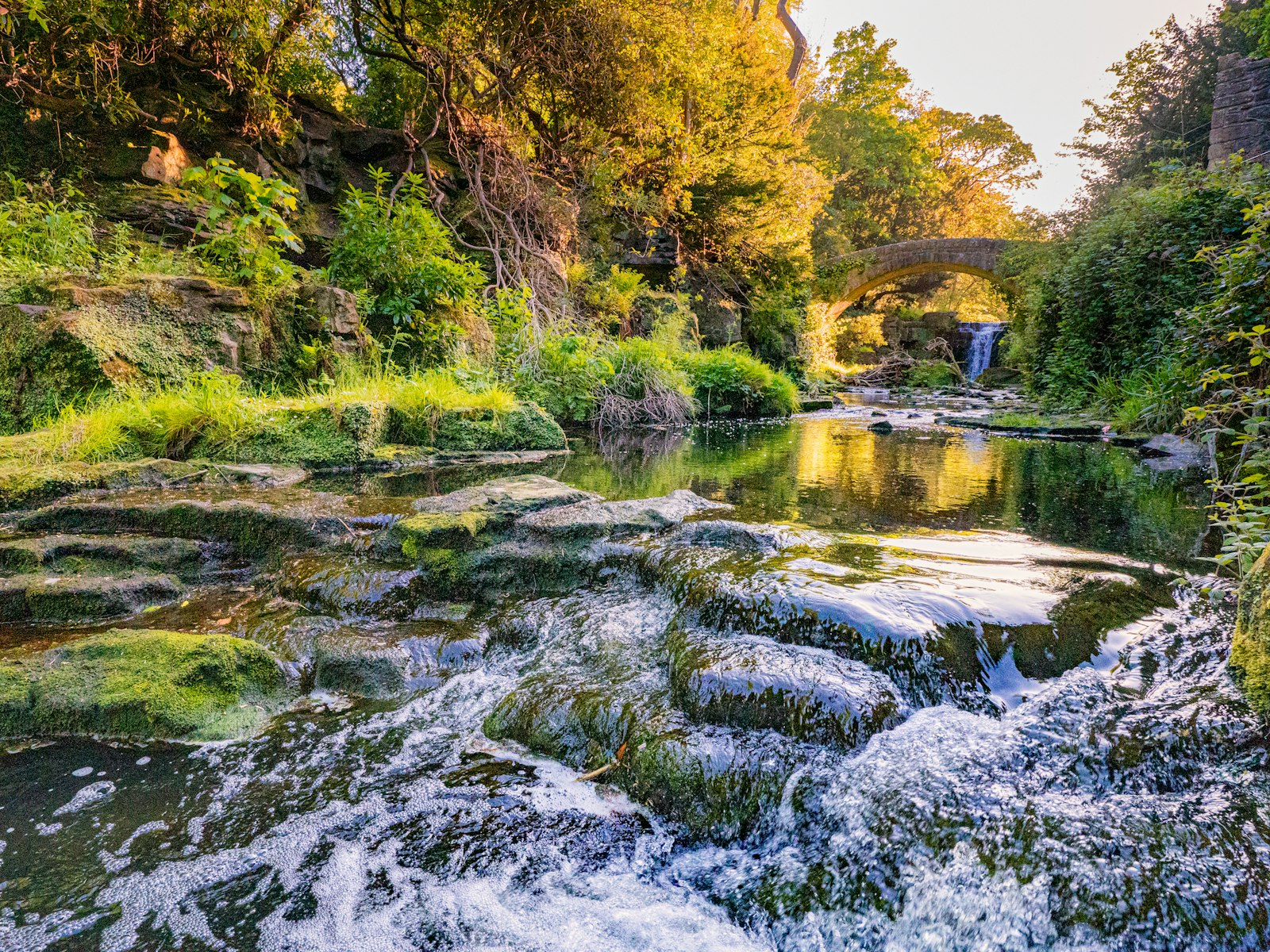 The waterfall and woodland of Jesmond Dene in Newcastle, near Refined Medical Aesthetics.