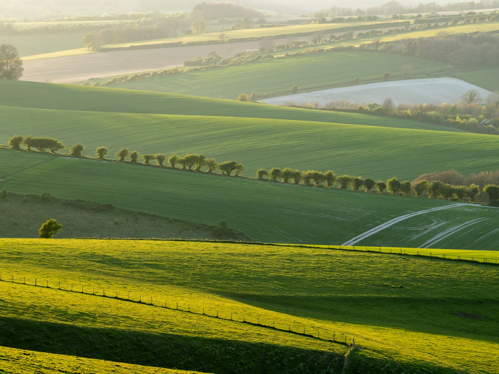 Rolling green countryside near Darras Hall, served by Refined Medical Aesthetics.