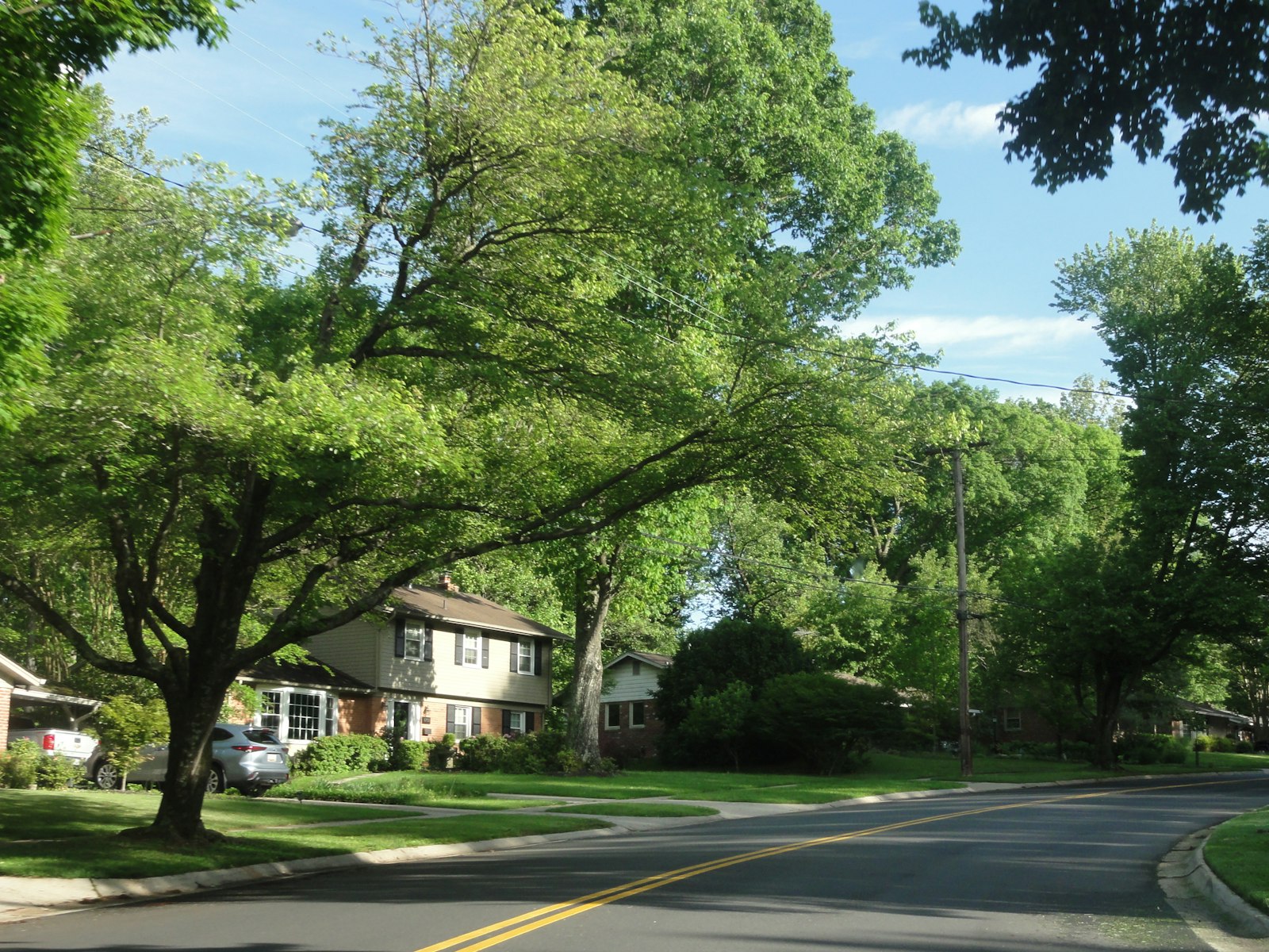 A leafy, tree-lined residential street reflecting the green suburb of Gosforth, near Refined Medical Aesthetics.